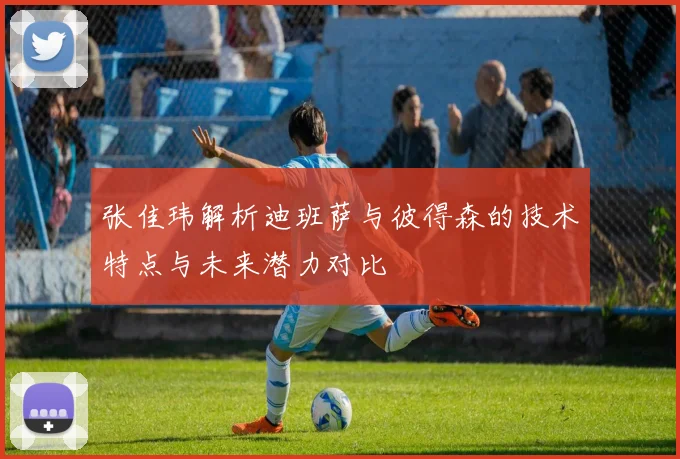 张佳玮解析迪班萨与彼得森的技术特点与未来潜力对比
